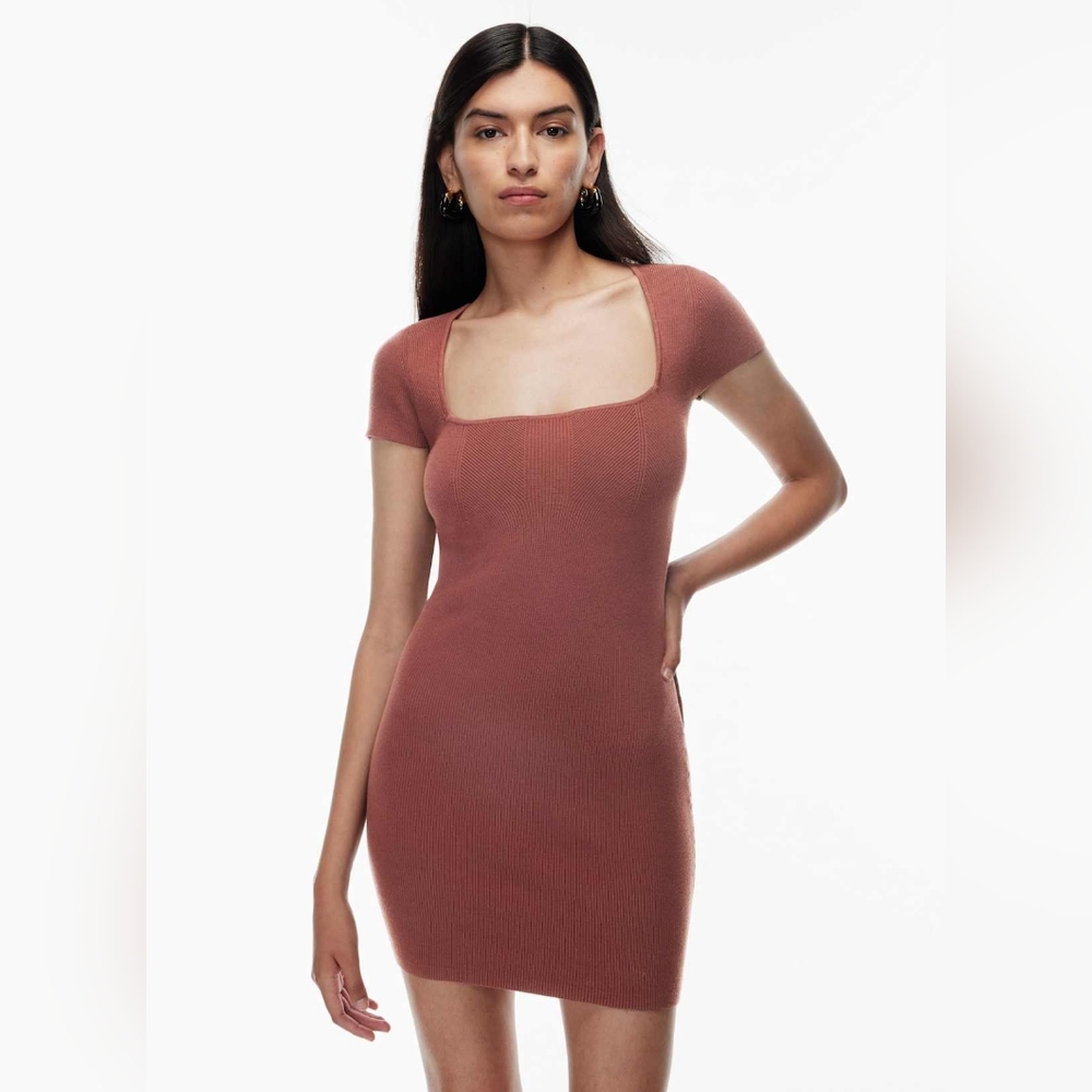 Aritzia Babaton Emerge Bodycon Knit Mini Dress Size M Sundried Red Sweetheart